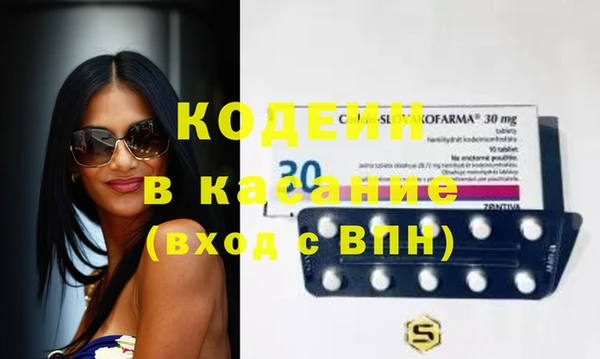 индика Рославль