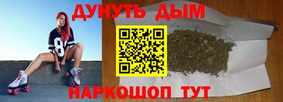 крисы Гай