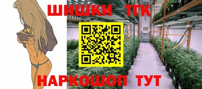 крисы Гай