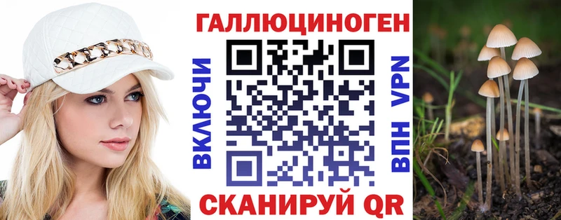 Галлюциногенные грибы Psilocybe  Муром 