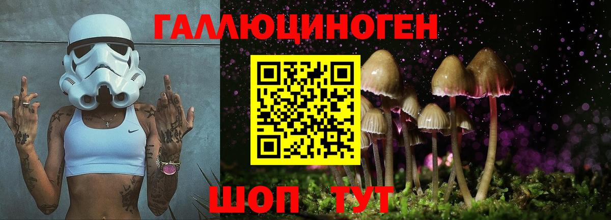 Галлюциногенные грибы мухоморы Муром