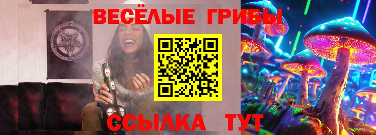 Муром  Псилоцибиновые грибы MAGIC MUSHROOMS  Вход с VPN 